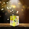 12 Shot Raider Skyshot Fancy Crackers | Akshayaa Agencies Sivakasi